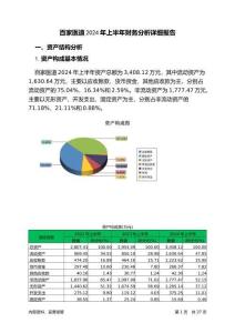 百家醫道2024年上半年財務分析詳細報告
