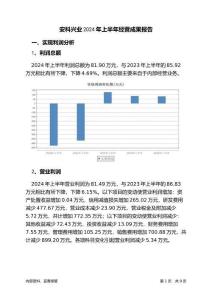 安科興業(yè)2024年上半年經(jīng)營成果報(bào)告
