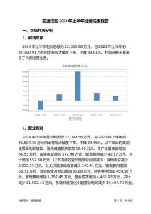 安通控股2024年上半年經營成果報告