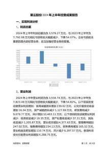 星云股份2024年上半年經(jīng)營成果報告