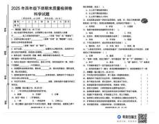 2025年小學四年級科學期末卷