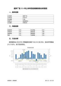 藍(lán)夢(mèng)廣告2024年上半年貸后調(diào)查財(cái)務(wù)分析報(bào)告