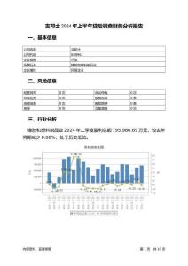 吉邦士2024年上半年貸后調(diào)查財(cái)務(wù)分析報(bào)告