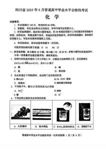 2025年6月四川省普通高中学业水平合格性考试化学试题