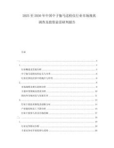 2025至2030年中國中子伽馬巡檢儀行業市場現狀調查及投資前景研判報告