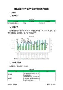 磐石基業(yè)2024年上半年信貸審批財(cái)務(wù)分析報(bào)告
