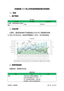 天和防務2024年上半年信貸審批財務分析報告