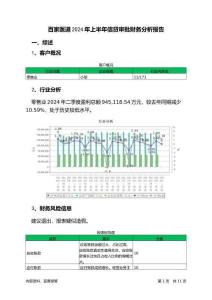 百家醫道2024年上半年信貸審批財務分析報告