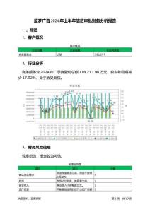 藍(lán)夢(mèng)廣告2024年上半年信貸審批財(cái)務(wù)分析報(bào)告