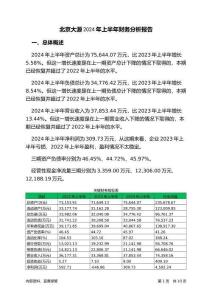 北京大源2024年上半年財務分析報告-銀行版