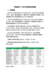 中胤時尚2024年上半年財務(wù)分析報告-銀行版