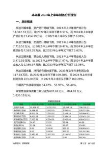 本本鼎2024年上半年財(cái)務(wù)分析報(bào)告-銀行版