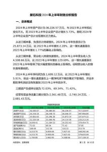 磐石科技2024年上半年財(cái)務(wù)分析報(bào)告-銀行版