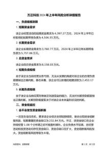萬正科技2024年上半年財務風險分析詳細報告