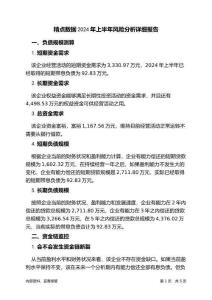 精點(diǎn)數(shù)據(jù)2024年上半年財(cái)務(wù)風(fēng)險(xiǎn)分析詳細(xì)報(bào)告