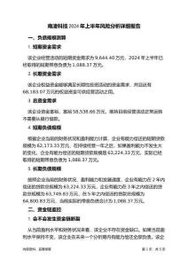 南凌科技2024年上半年財務(wù)風(fēng)險分析詳細(xì)報告