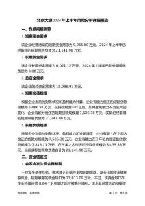 北京大源2024年上半年財(cái)務(wù)風(fēng)險(xiǎn)分析詳細(xì)報(bào)告