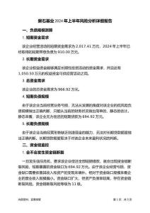 磐石基業(yè)2024年上半年財(cái)務(wù)風(fēng)險(xiǎn)分析詳細(xì)報(bào)告