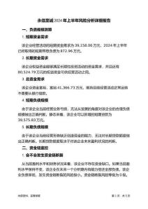 永信至誠2024年上半年財務(wù)風險分析詳細報告