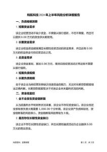 和航科技2024年上半年财务风险分析详细报告