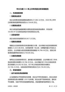 中大力德2024年上半年财务风险分析详细报告