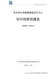 齊齊哈爾市數(shù)據(jù)智能交匯中心項目可行性報告模板