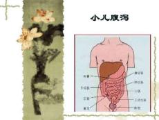 小儿腹泻课件