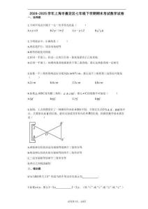 2024-2025学年上海市嘉定区七年级下学期期末考试数学试卷[含答案]