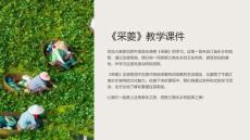采菱 教學(xué)課件