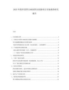 2025年簡單型黑白畫面四分割器項目市場調查研究報告