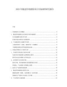 2025年脆皮炸雞裹粉項目市場調(diào)查研究報告