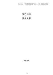 磐石項目實施方案