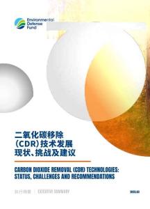 二氧化碳移除（CDR）技術發展現狀、挑戰及建議