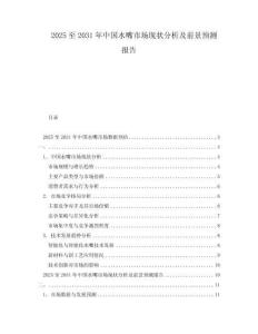 2025至2031年中國水嘴市場現狀分析及前景預測報告