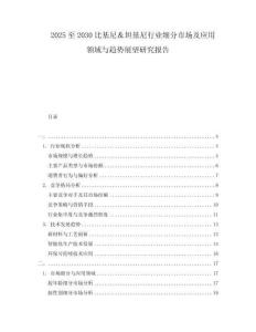 2025至2030比基尼＆坦基尼行業(yè)細(xì)分市場(chǎng)及應(yīng)用領(lǐng)域與趨勢(shì)展望研究報(bào)告