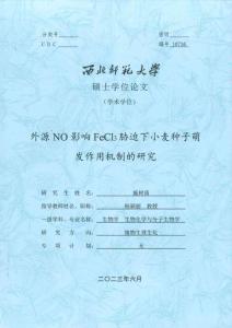 外源NO影響FeCl3脅迫下小麥種子萌發(fā)作用機(jī)制的研究