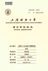 我國中小企業破產重整制度研究