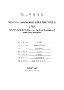 NiO_NiFe2O4_Bi2O2CO3微波催化降解四環素廢水研究
