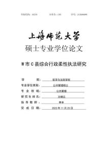 W市C縣綜合行政柔性執法研究