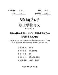 函數(shù)方程在模糊(nβ)--范、矩陣模糊賦范空間等的穩(wěn)定性研究