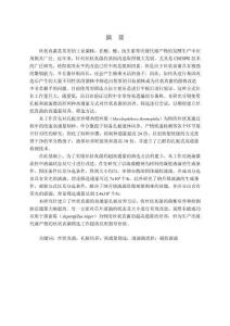 絲狀真菌高通量培養與篩選技術研究