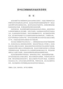 蘇中抗日根據(jù)地民兵組織形態(tài)研究