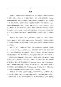 水熊蟲Dsup蛋白增強人細胞輻射耐受能力的機制研究