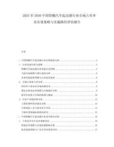 2025至2030中國鉛酸汽車起動器行業市場占有率及有效策略與實施路徑評估報告