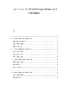 2025至2031年中國多功能振蕩儀市場現狀分析及前景預測報告