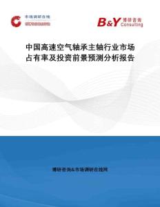 中國高速空氣軸承主軸行業市場占有率及投資前景預測分析報告