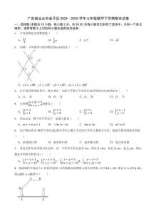 广东省汕头市金平区2024—2025学年七年级数学下学期期末试卷