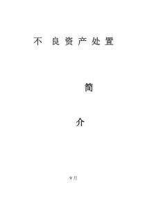 不良資產處置培訓資料