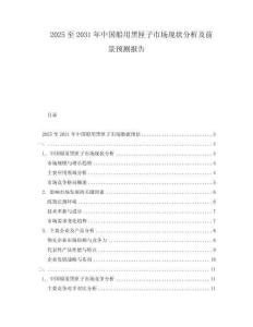 2025至2031年中國船用黑匣子市場現狀分析及前景預測報告