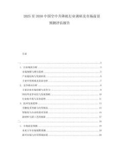 2025至2030中國空中升降機行業調研及市場前景預測評估報告
